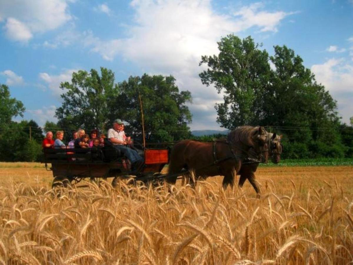 Ferienwohnungen Maierhof Oberried Oberried  Exteriér fotografie