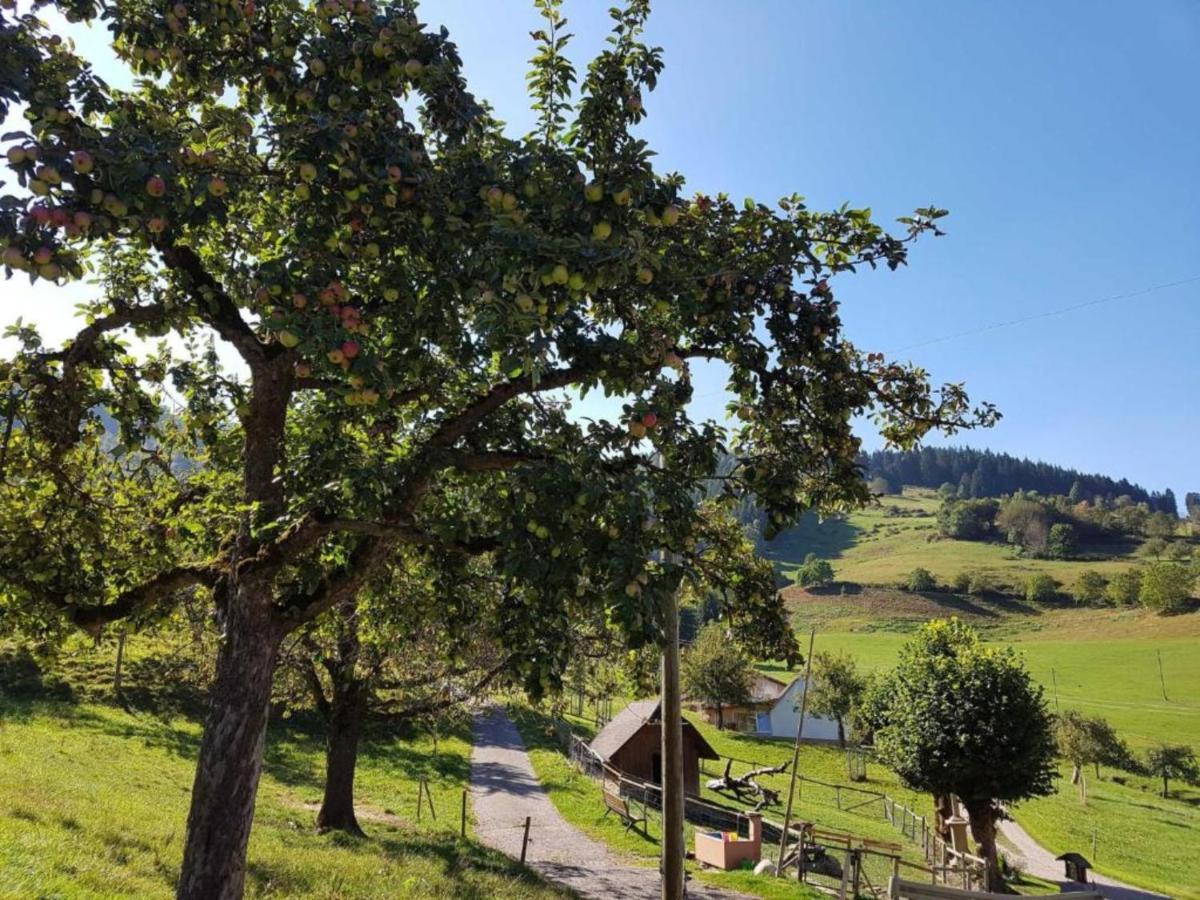 Ferienwohnungen Maierhof Oberried Oberried  Exteriér fotografie
