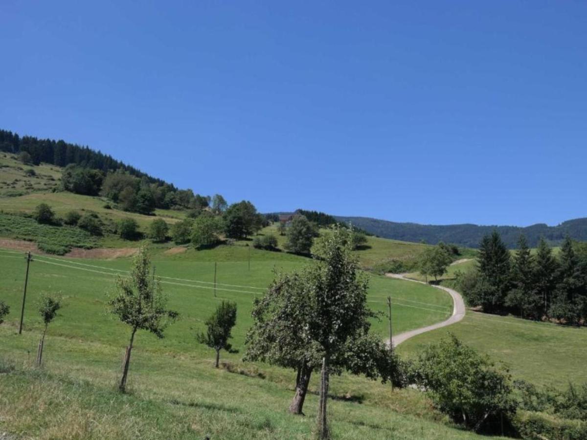 Ferienwohnungen Maierhof Oberried Oberried  Exteriér fotografie
