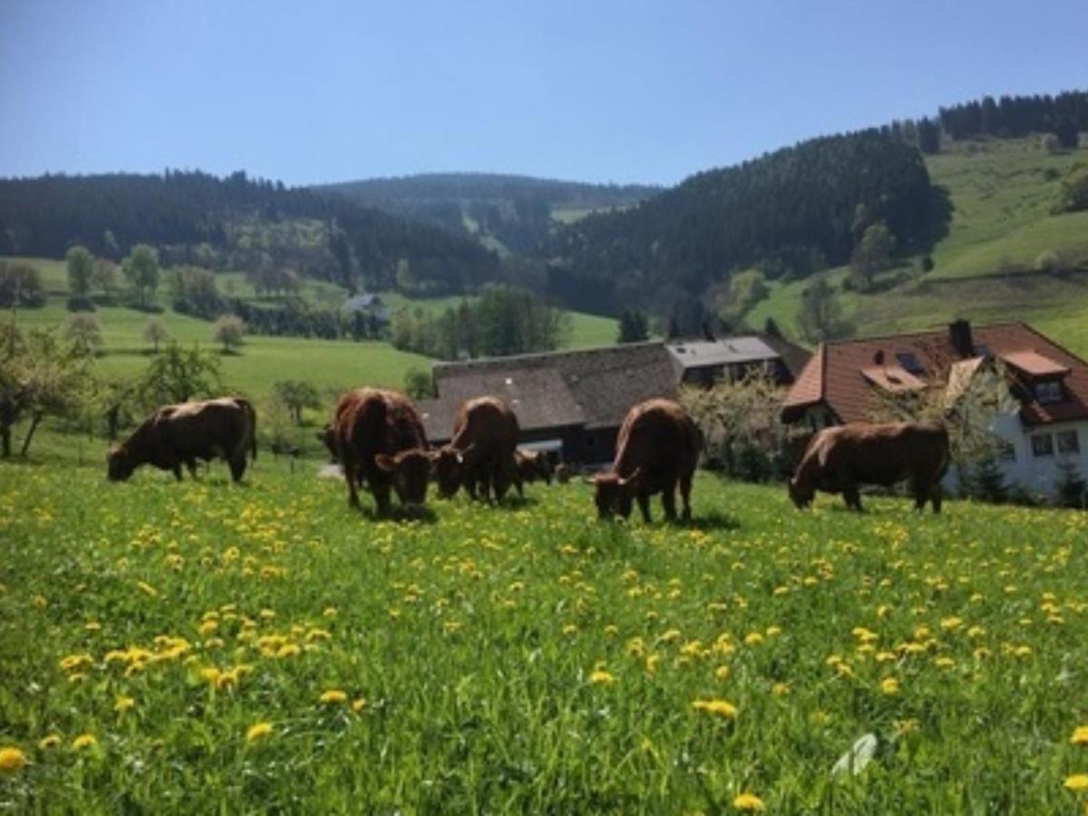 Ferienwohnungen Maierhof Oberried Oberried  Exteriér fotografie